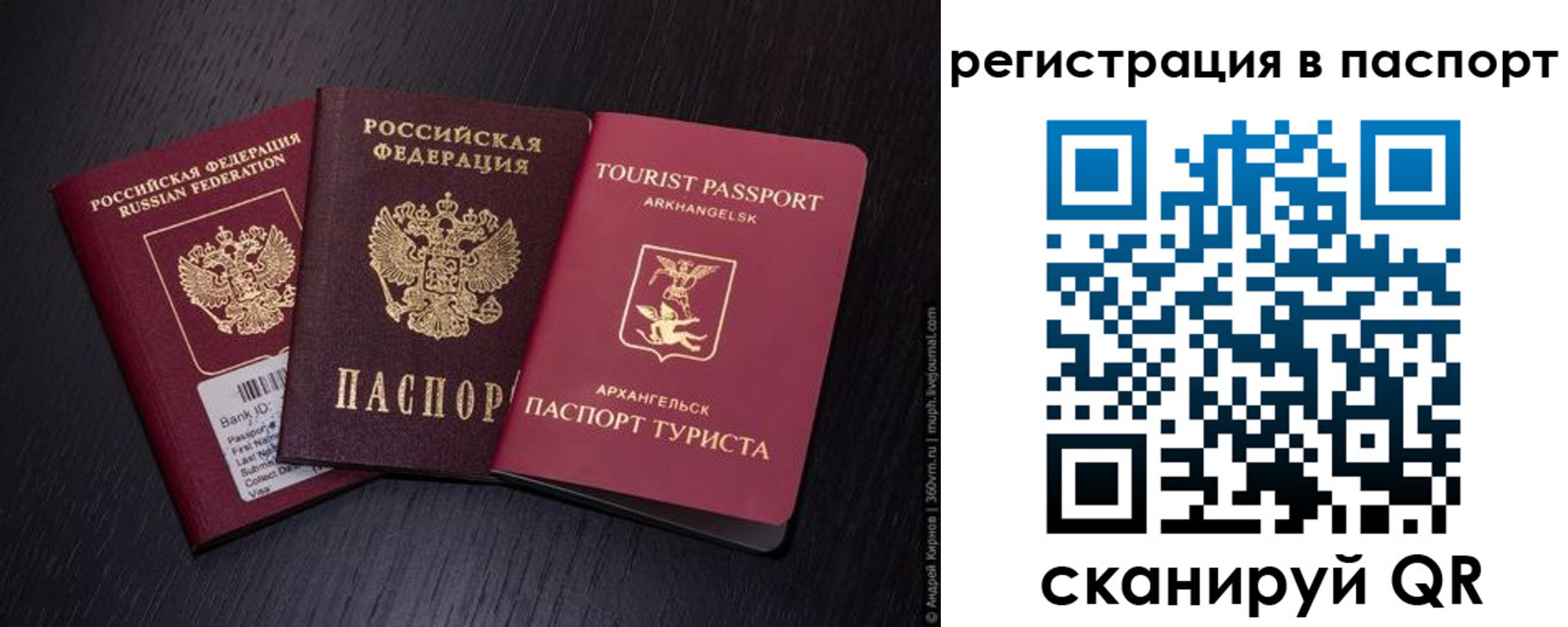 прописка в квартире в Палласовке